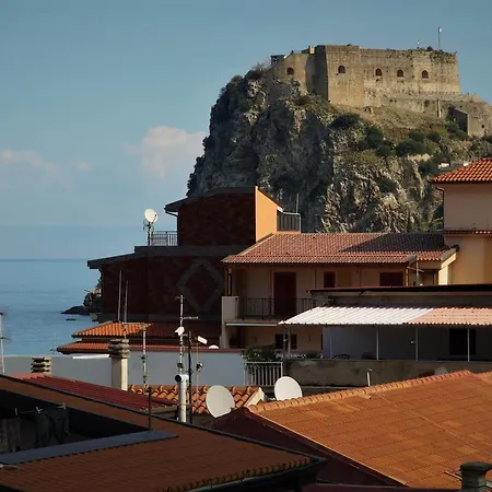Holidays * Scilla