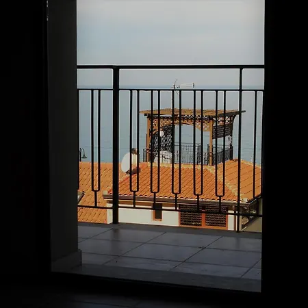 Holidays * Scilla